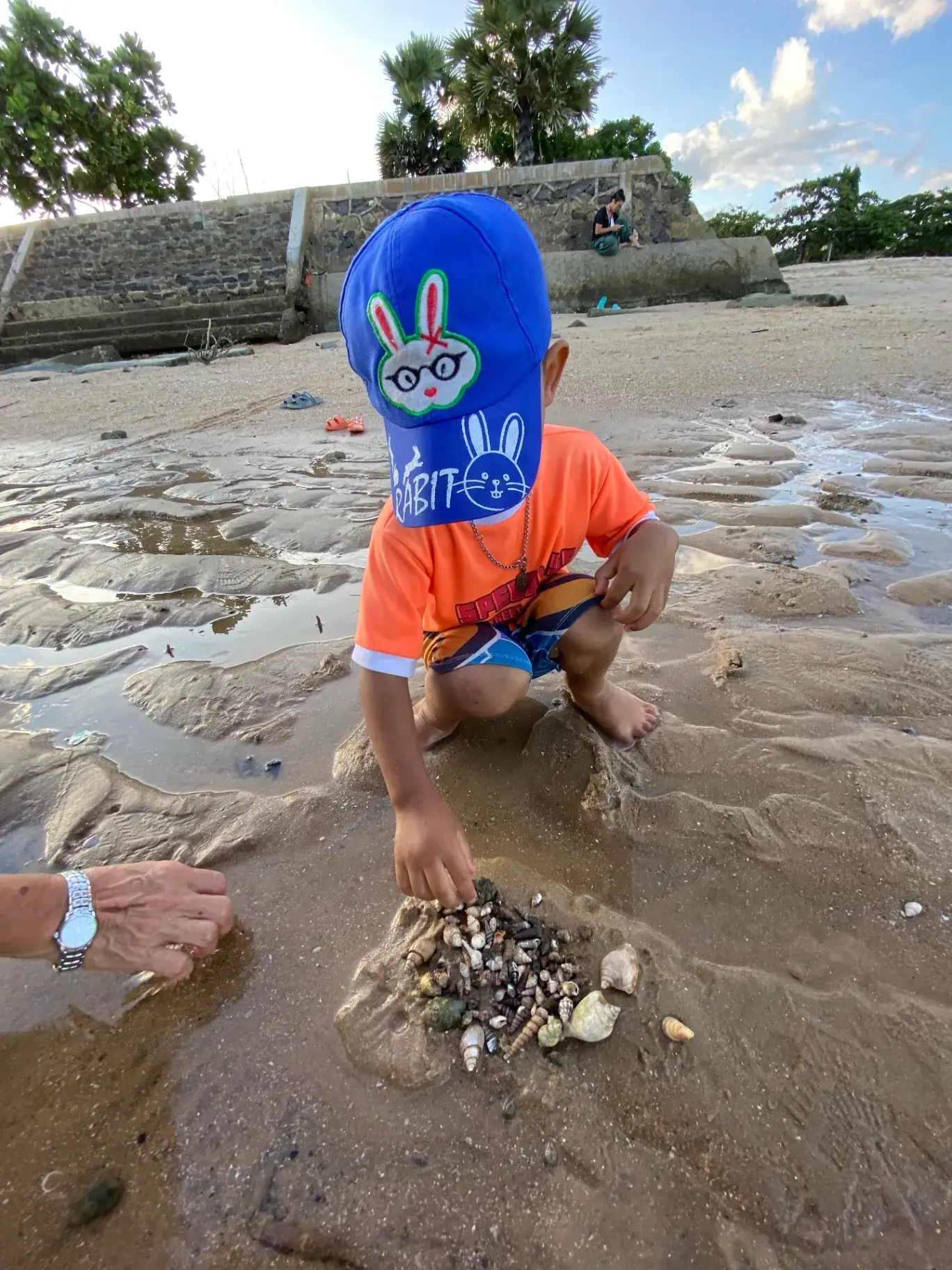 A young learner sorting seashells on the beach